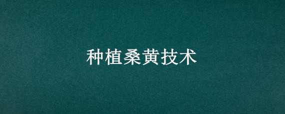 种植桑黄技术