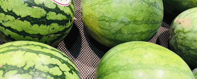 西瓜增甜的十种方法