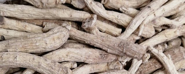 丹参一亩大概收入