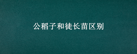 公稻子和徒长苗区别