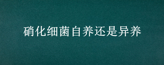 硝化细菌自养还是异养