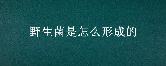 野生菌是怎么形成的