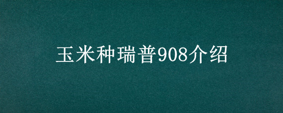 玉米种瑞普908介绍