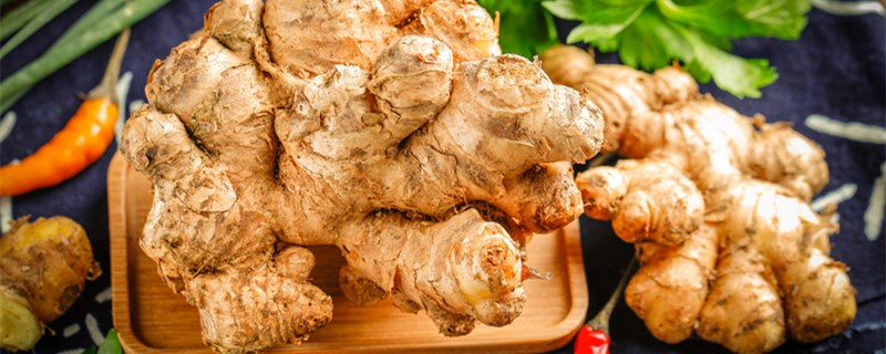 洋姜可以晒干保存吗