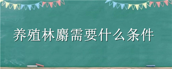 养殖林麝需要什么条件