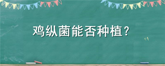 鸡纵菌能否种植