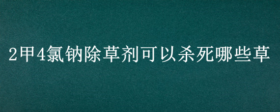 2甲4氯钠除草剂可以杀死哪些草