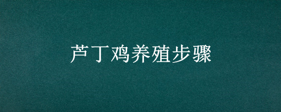 芦丁鸡养殖步骤