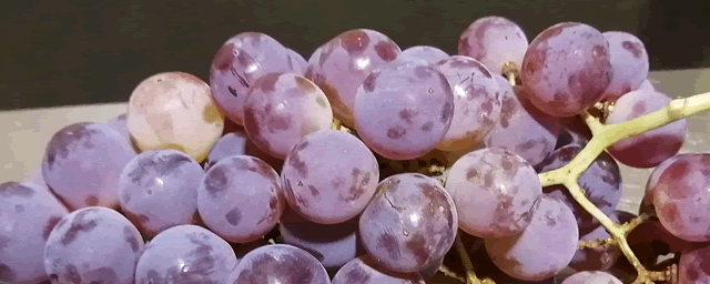 葡萄烂果用什么药