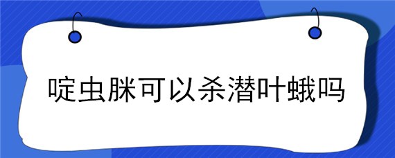 啶虫脒可以杀潜叶蛾吗