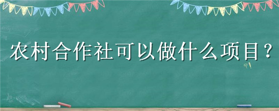 农村合作社可以做什么项目