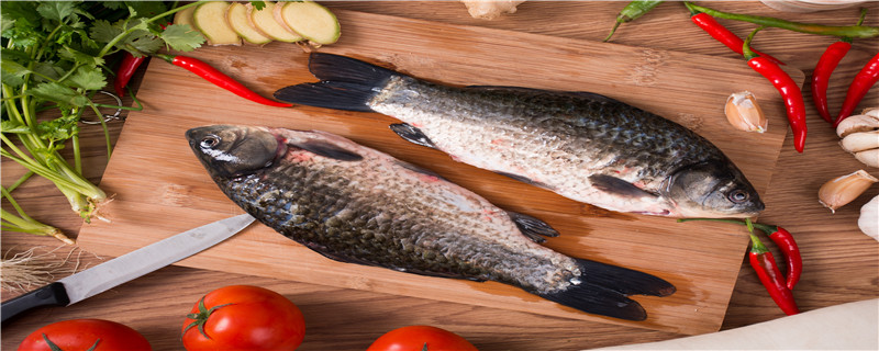 红鲫鱼是不是热带鱼