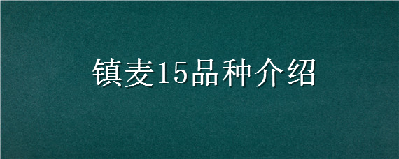 镇麦15品种介绍