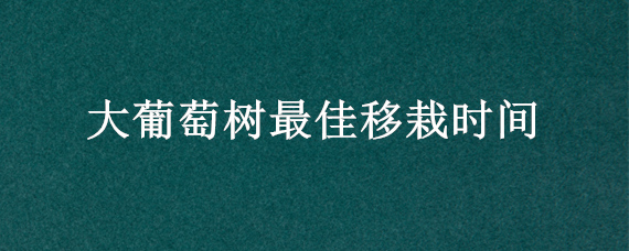 大葡萄树最佳移栽时间