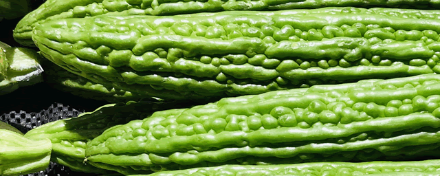 苦瓜病害的识别