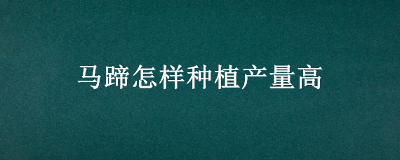马蹄怎样种植产量高