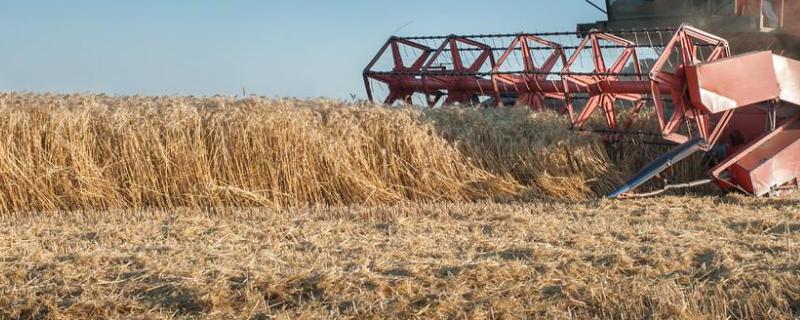 美国农业生产的主要特点及优势区位条件美国农业人口比重