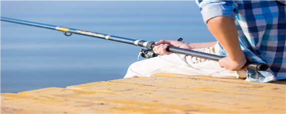 怎么钓鱼鱼容易上钩