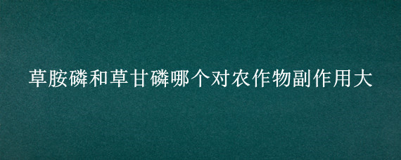 草胺磷和草甘磷哪个对农作物副作用大