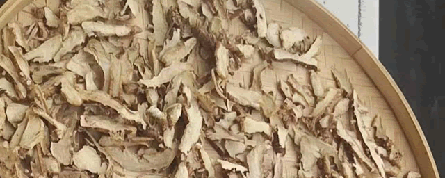 知母种子价格及种植方法