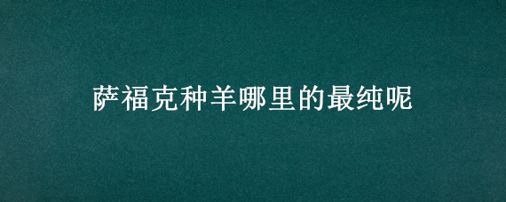 萨福克种羊哪里的最纯呢