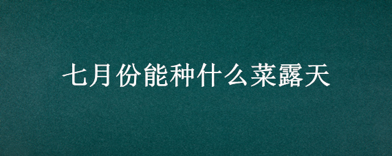 七月份能种什么菜露天