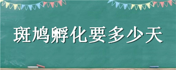 斑鸠孵化要多少天