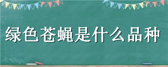 绿色苍蝇是什么品种