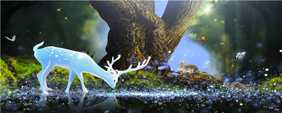 林麝适合在哪个省养殖