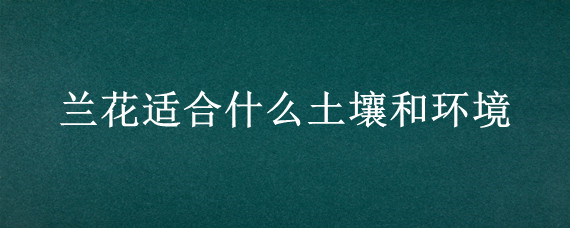 兰花适合什么土壤和环境