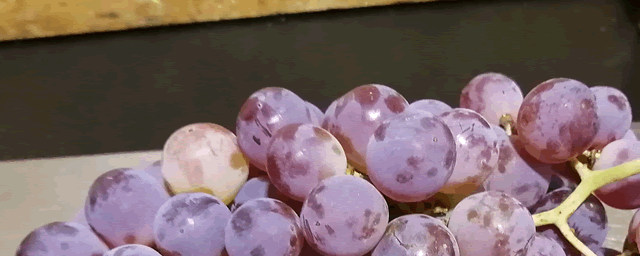 葡萄黑痘病的防治措施