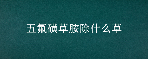 五氟磺草胺除什么草