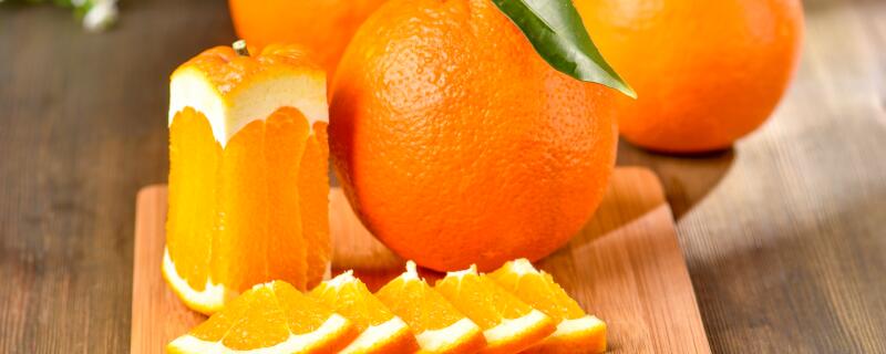 橘子树怎么过冬