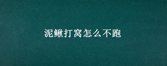 泥鳅打窝怎么不跑
