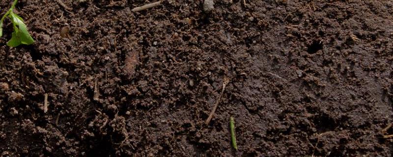 15升土等于多少斤农村土地怎么算亩