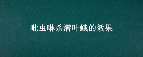 吡虫啉杀潜叶蛾的效果