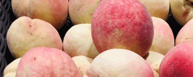 桃树的管理技术