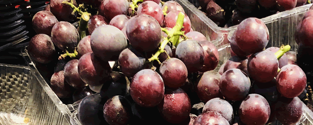 葡萄采后管理技术