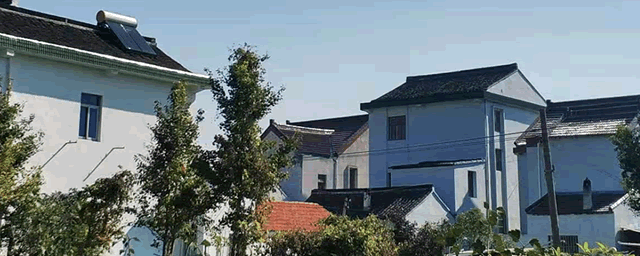 介壳虫怎么根除