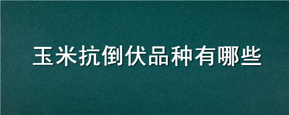 玉米抗倒伏品种有哪些