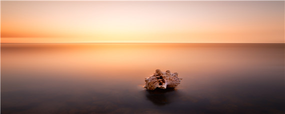 海螺品种大全集