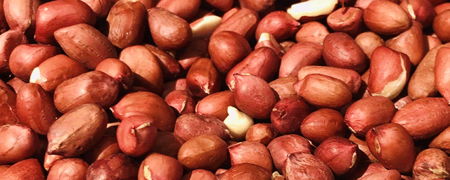 花生虫害用什么药好