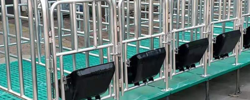 母猪产床怎么装一般有多大尺寸