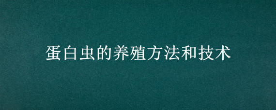 蛋白虫的养殖方法和技术