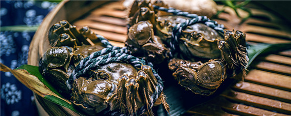 活青蟹怎么保存不会死