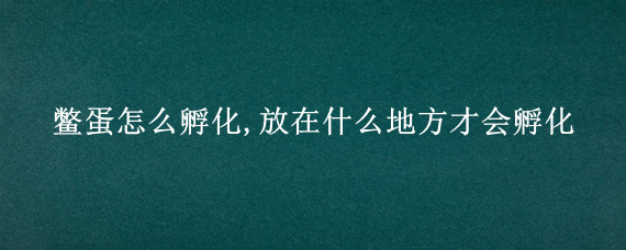鳖蛋怎么孵化,放在什么地方才会孵化