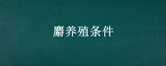 麝养殖条件