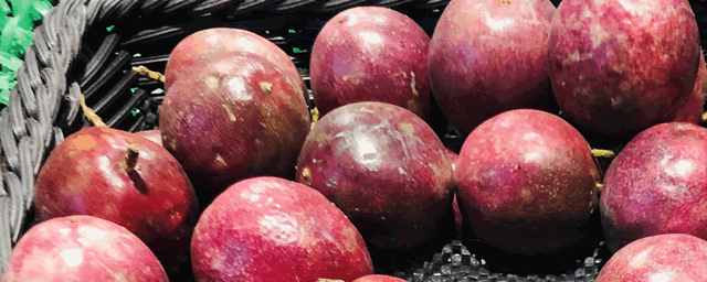 百香果搭架最新技术