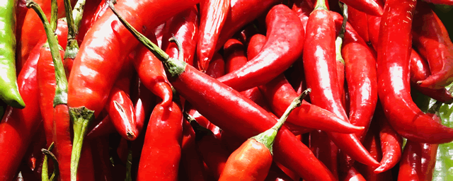 辣椒多少钱一斤