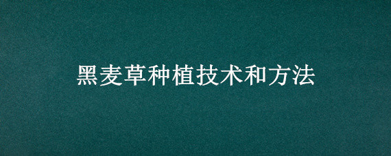 黑麦草种植技术和方法